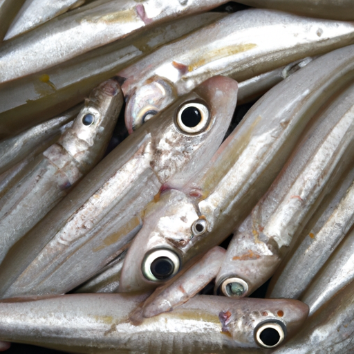 bandeng segar khas juwana, baru dipanen dan kemudian dibelah untuk dicabut durinya oleh nelayan